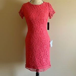 NWT Laundry by Shelli Segal Dress